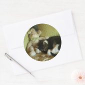 Bunny en kat vriend stickers (Envelop)