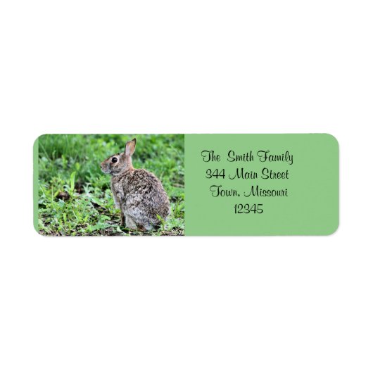 Bunny Etiket (Voorkant)