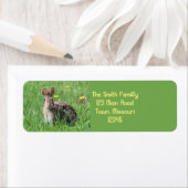 Bunny Etiket (Insitu)