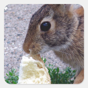 Bunny gevonden brood vierkante sticker