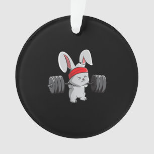 Bunny Gym Rabbit Ness Weighlifting Funny Art