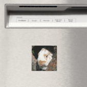 Bunny humbug magnet magneet (Insitu (Vaatwasser))