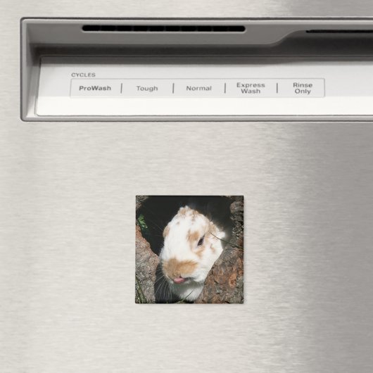 Bunny humbug magnet magneet (Insitu (Vaatwasser))