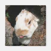 Bunny humbug magnet magneet (Voorkant)
