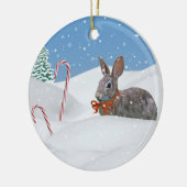 Bunny in de Sneeuwkerstversiering Keramisch Ornament (Links)