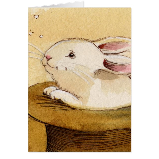 Bunny in Magic Pet (Voorkant)