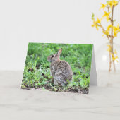 Bunny Kaart (Gele Bloem)
