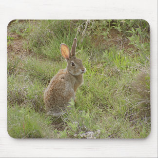 Bunny kijkt over schouder muismat