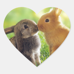 Bunny Kiss Hart Sticker