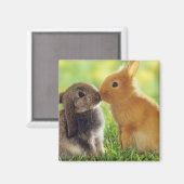 Bunny Kiss Magneet (Voorkant / Achterkant)