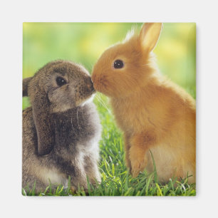 Bunny Kiss Magneet