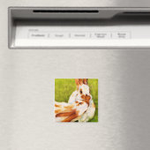 Bunny Kisses Rabbit Magnet (In Situ (Lave-vaisselle))