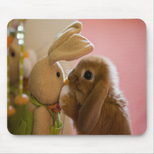 Bunny Kissing "Stuffed Speelgoed Bunny" Mousepad Muismat