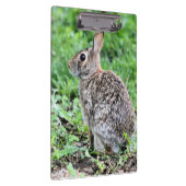 Bunny Klembord (Rechts)