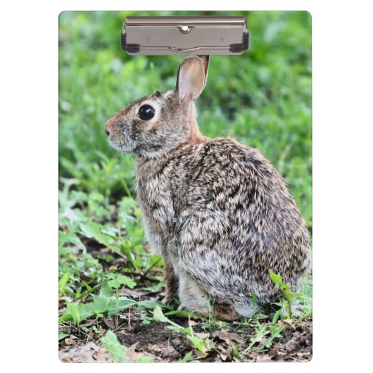 Bunny Klembord (Voorkant)