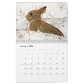 Bunny ( Lapins ) Calendrier 2023 (Jan 2026)