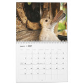 Bunny ( Lapins ) Calendrier 2023 (Mar 2027)