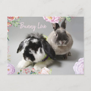Bunny Love Briefkaart