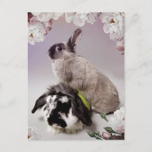 Bunny Love Briefkaart