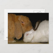 bunny love briefkaart (Voorkant / Achterkant)