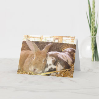 Bunny Love Kaart