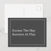 Bunny Lover's Funny Excuse The Hay Quote Briefkaart (Voorkant / Achterkant)