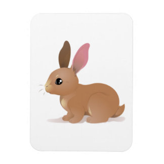 Bunny Magneet