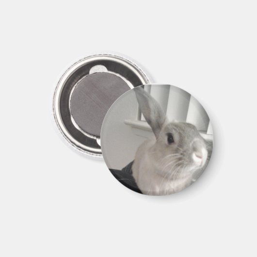 Bunny Magneet (Voorkant / Achterkant)