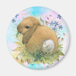 Bunny Magneet