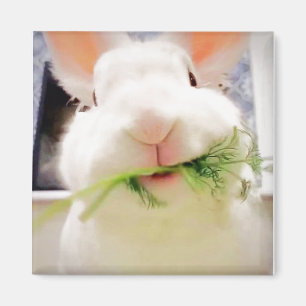 Bunny Magnet Magneet