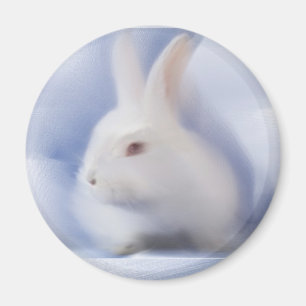 Bunny Magnet Magneet