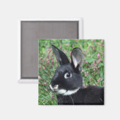 Bunny magnet magneet (Voorkant / Achterkant)