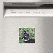 Bunny magnet magneet (Insitu (Vaatwasser))