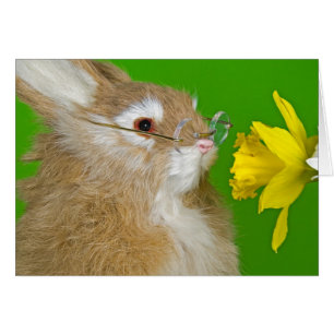 Bunny met lente-daffodil