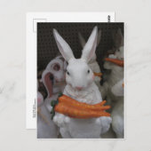 Bunny met wortel briefkaart (Voorkant / Achterkant)