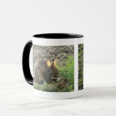 Bunny-Mok Mok (Voorkant links)