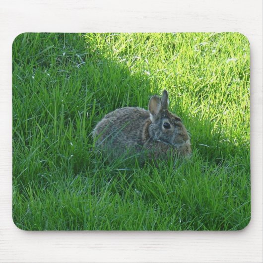 bunny muismat (Voorkant)