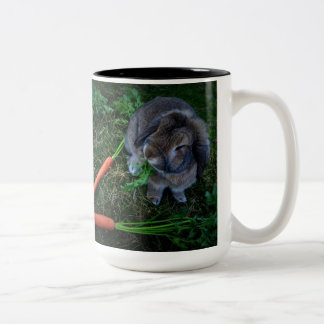 Bunny Munches Carrots / Mok