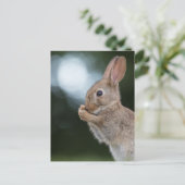 Bunny Natuur Foto Briefkaart (Staand voorkant)