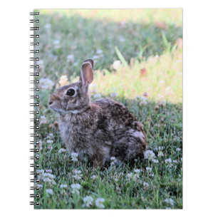 Bunny Notitieboek