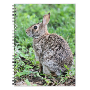 Bunny Notitieboek