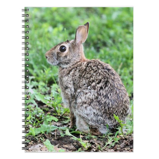 Bunny Notitieboek (Voorkant)