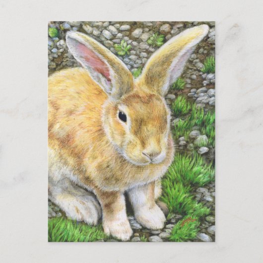 Bunny Pastel Briefkaart (Voorkant)