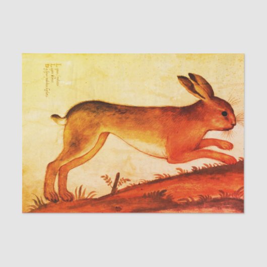 BUNNY RABBIT - Aangepast 10 lb-weefselpapier, wit Tissuepapier (Voorkant)