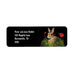 Bunny Rabbit Adresetiketten Etiket