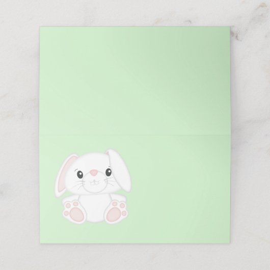 Bunny Rabbit Baby shower (Buitenkant ongevouwen)