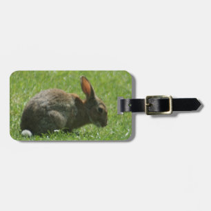 Bunny Rabbit Bagagelabel