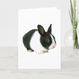 Bunny Rabbit Black en White Kaart