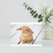 Bunny Rabbit Briefkaart (Staand voorkant)