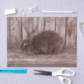 Bunny Rabbit Brown Pasen Tissuepapier (Craft)